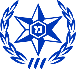 משטרת ישראל